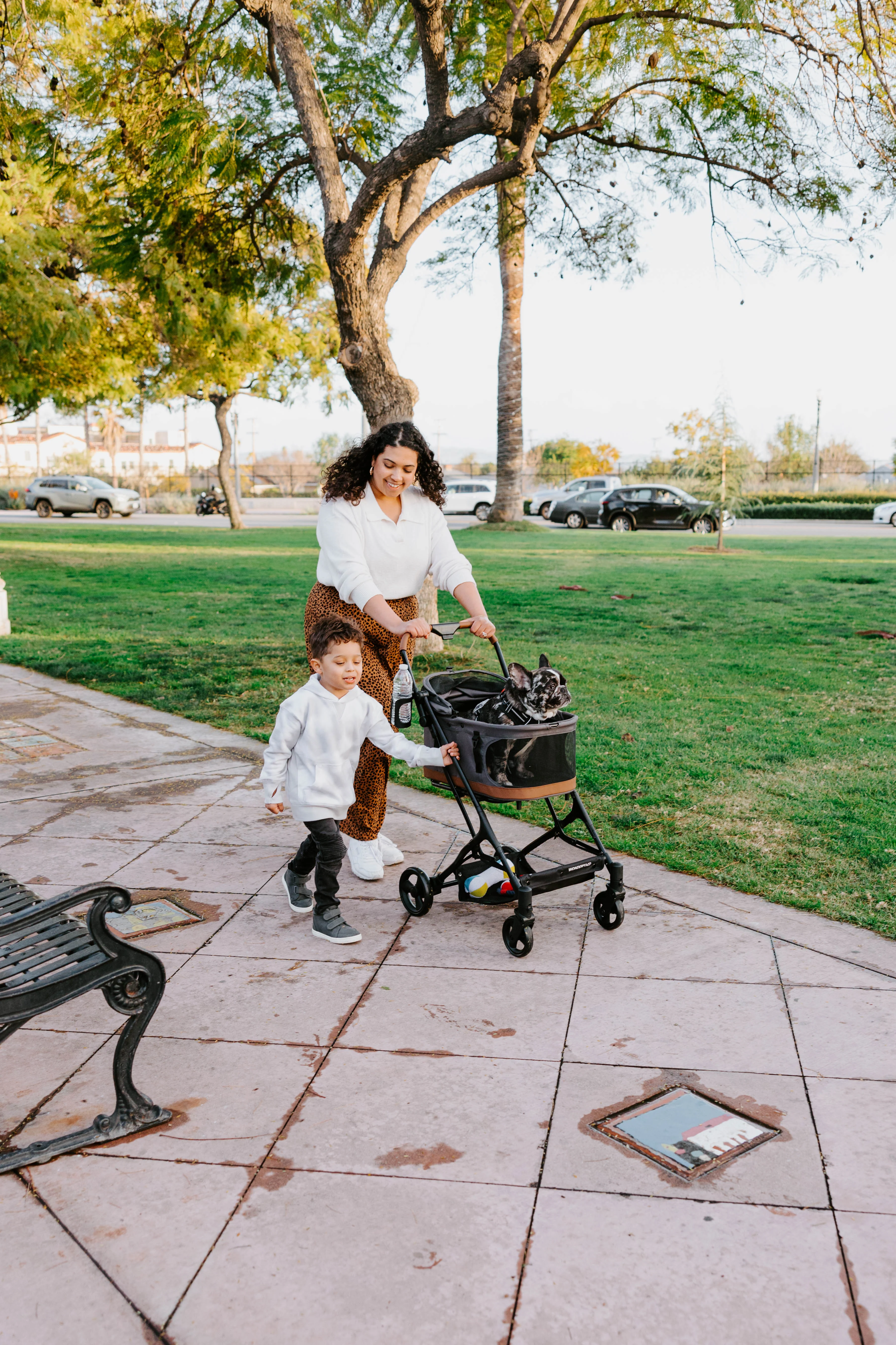 WonderFold Pet Stroller - Image 10