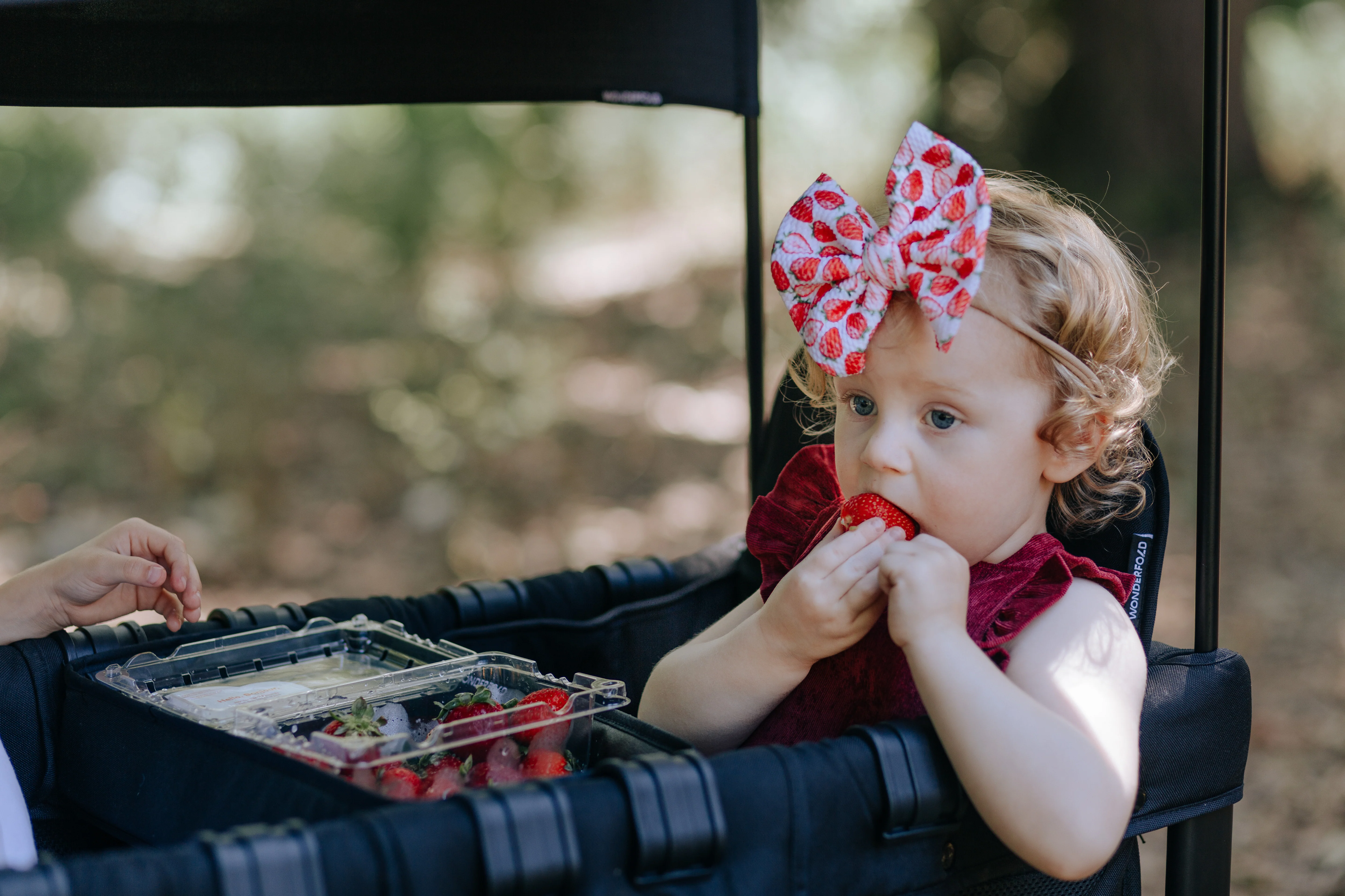 WonderFold W2 Double Sided Snack Tray - Image 3