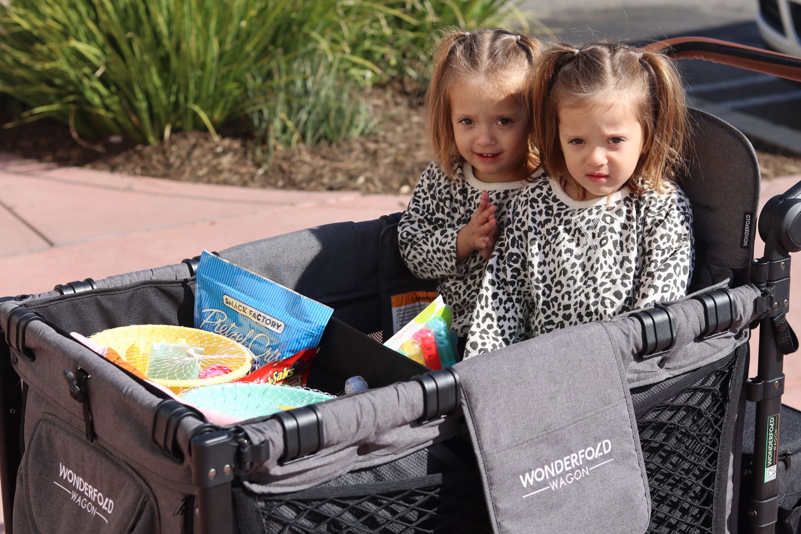 WonderFold W4 Wondertote Shopping Basket - Image 5